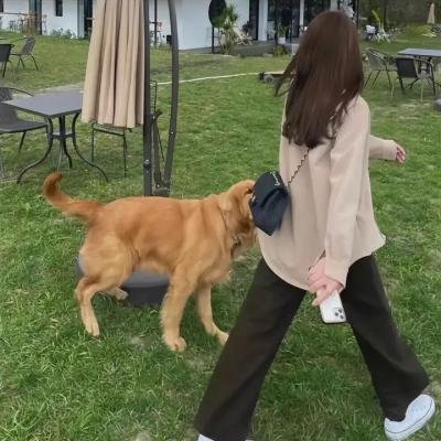 父与子的流亡旅程 海报