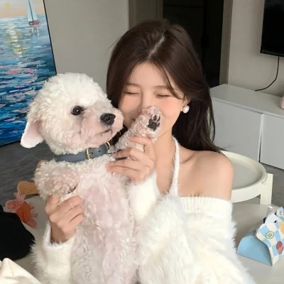 网红养成记国语 海报