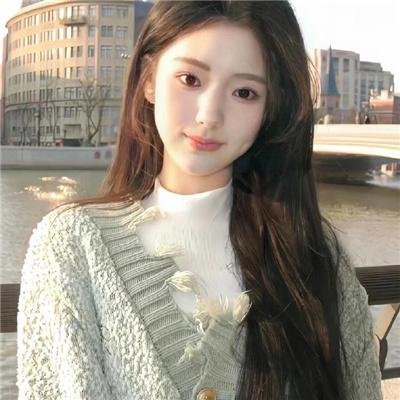 我是海鸥 海报